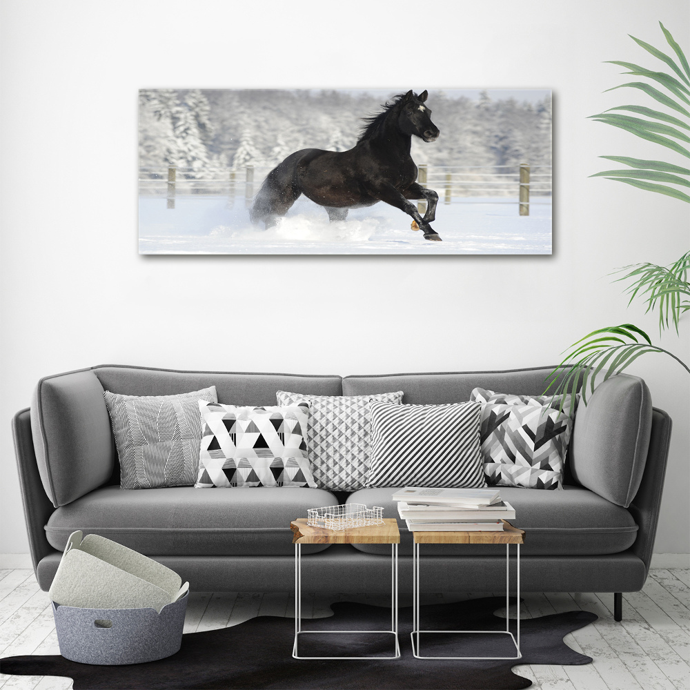 Acrylic wall art Snow horse at the gallop