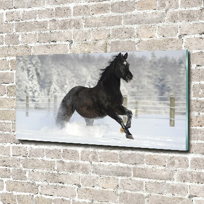 Acrylic wall art Snow horse at the gallop