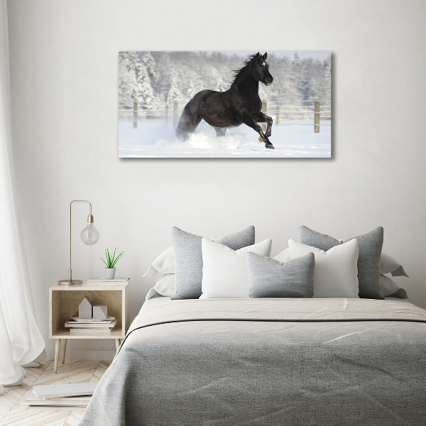 Acrylic wall art Snow horse at the gallop