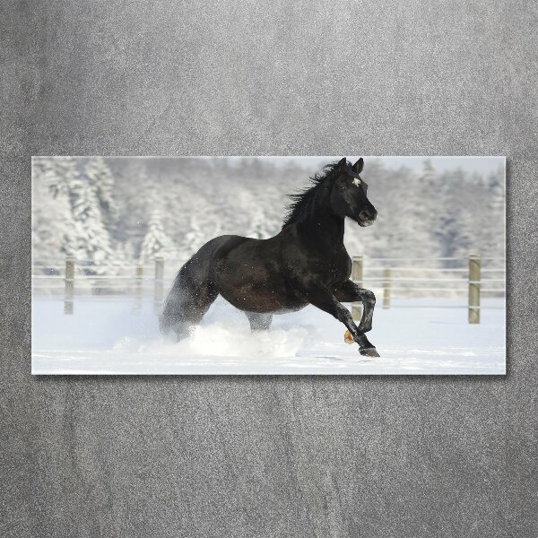 Acrylic wall art Snow horse at the gallop