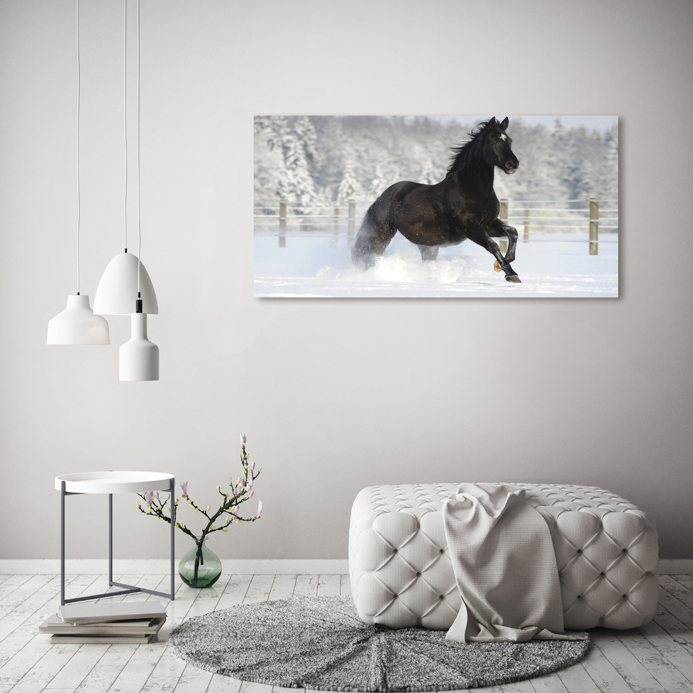 Acrylic wall art Snow horse at the gallop