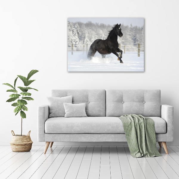 Acrylic wall art Snow horse at the gallop