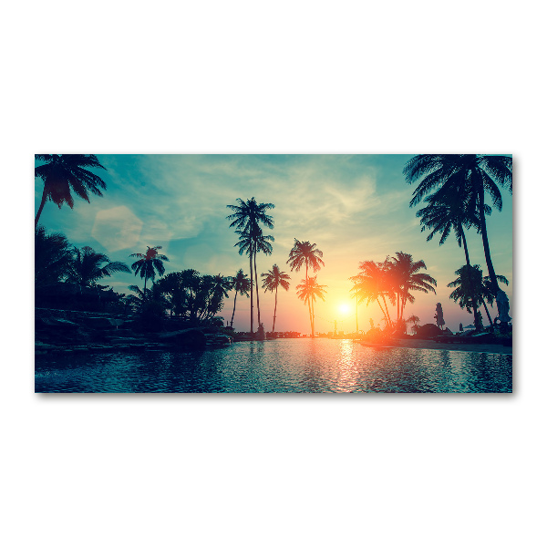 Print on acrylic Sunset palm trees