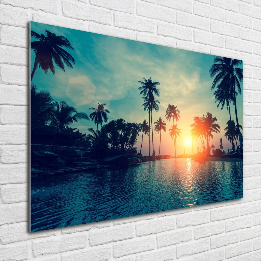 Print on acrylic Sunset palm trees