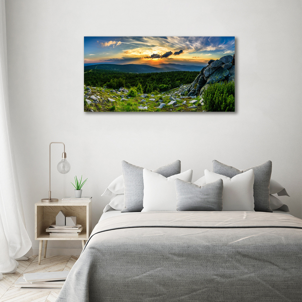 Print on acrylic Mountain panorama