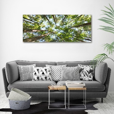 Print on acrylic Crown of trees