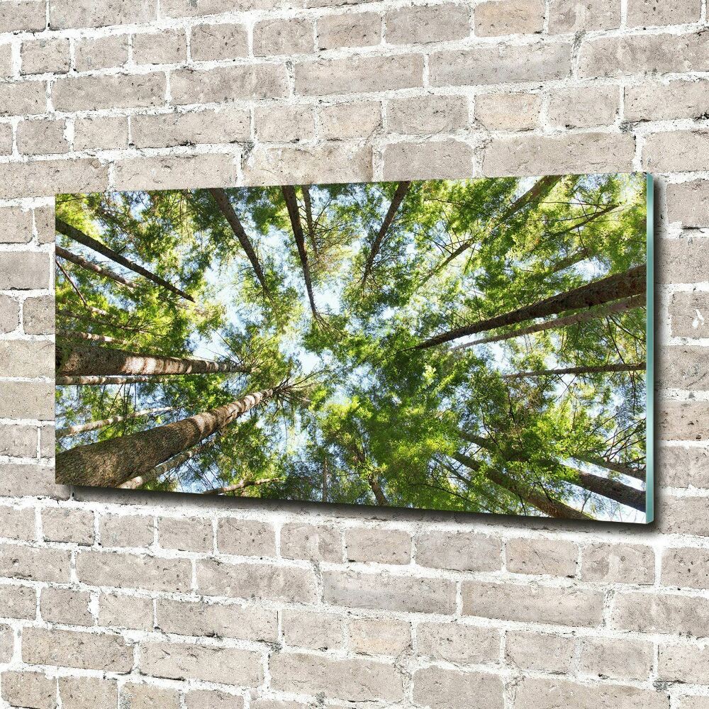 Print on acrylic Crown of trees