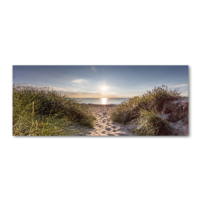 Print on acrylic Coastal dunes