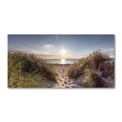 Print on acrylic Coastal dunes