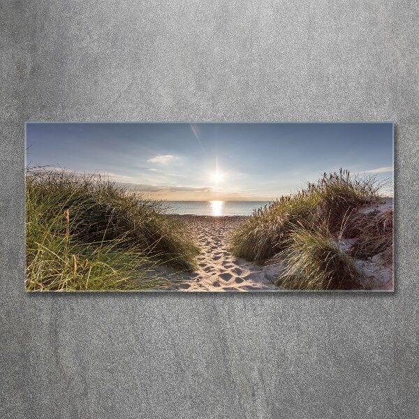 Print on acrylic Coastal dunes