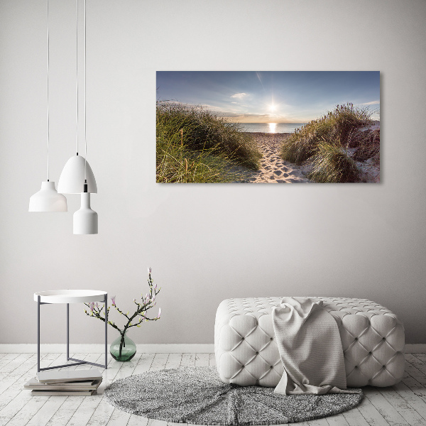 Print on acrylic Coastal dunes