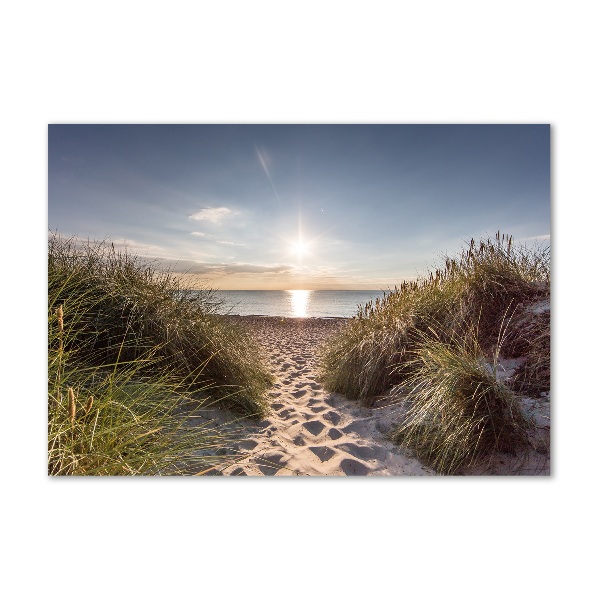 Print on acrylic Coastal dunes