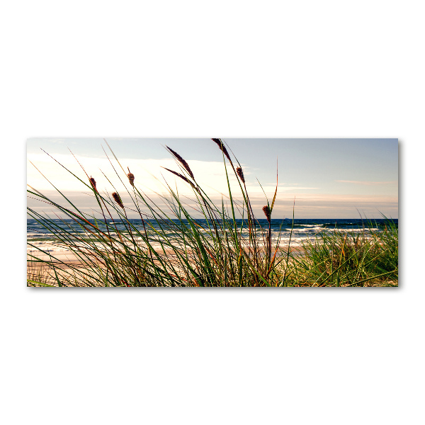 Print on acrylic Coastal dunes