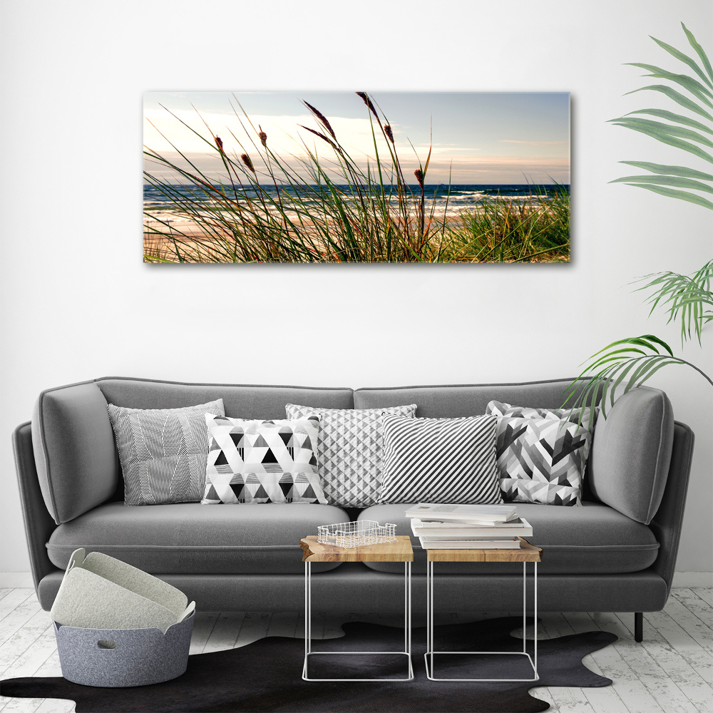 Print on acrylic Coastal dunes