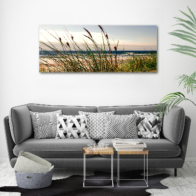 Print on acrylic Coastal dunes