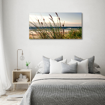 Print on acrylic Coastal dunes