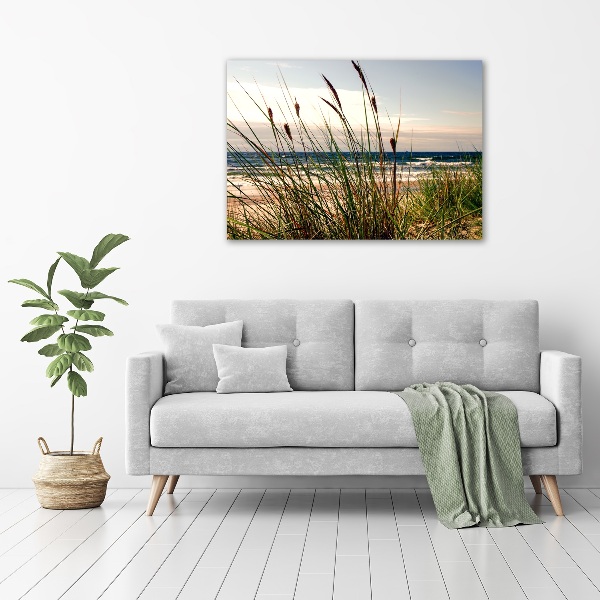 Print on acrylic Coastal dunes