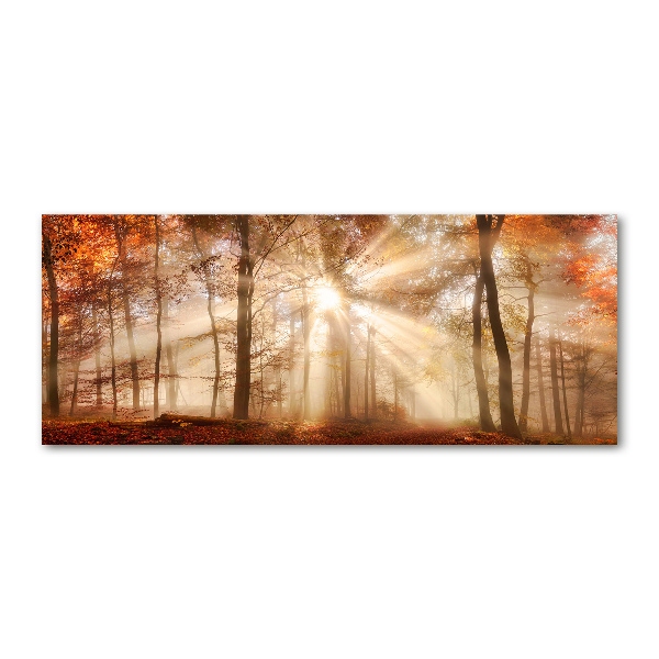 Wall art acrylic Fog in the Forest Autumn