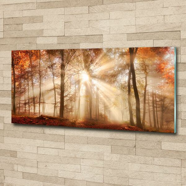 Wall art acrylic Fog in the Forest Autumn