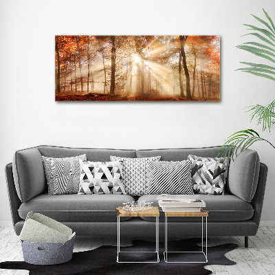 Wall art acrylic Fog in the Forest Autumn