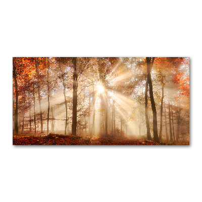 Wall art acrylic Fog in the Forest Autumn