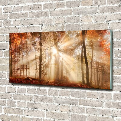 Wall art acrylic Fog in the Forest Autumn