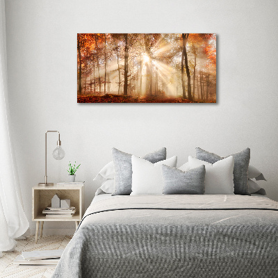 Wall art acrylic Fog in the Forest Autumn