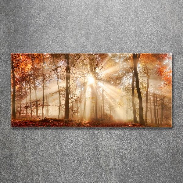 Wall art acrylic Fog in the Forest Autumn