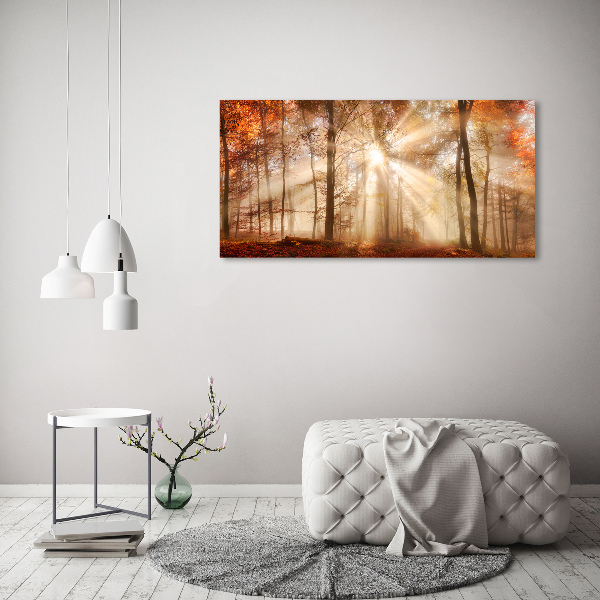 Wall art acrylic Fog in the Forest Autumn