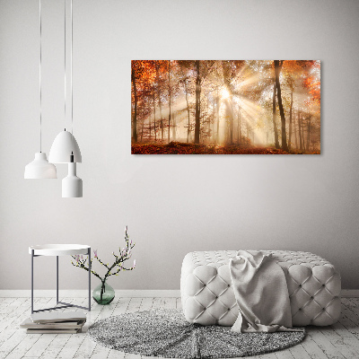 Wall art acrylic Fog in the Forest Autumn