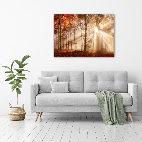 Wall art acrylic Fog in the Forest Autumn