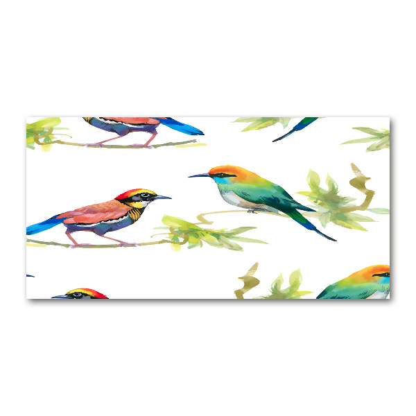 Wall art acrylic Exotic birds