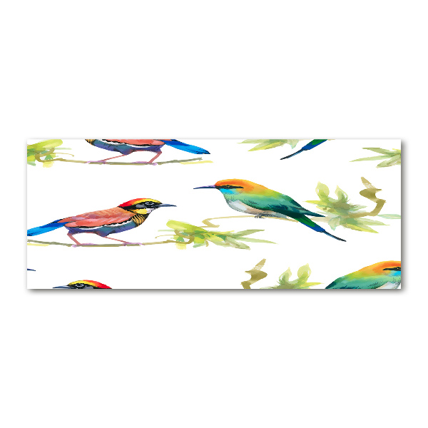 Wall art acrylic Exotic birds