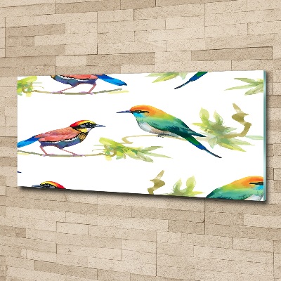 Wall art acrylic Exotic birds