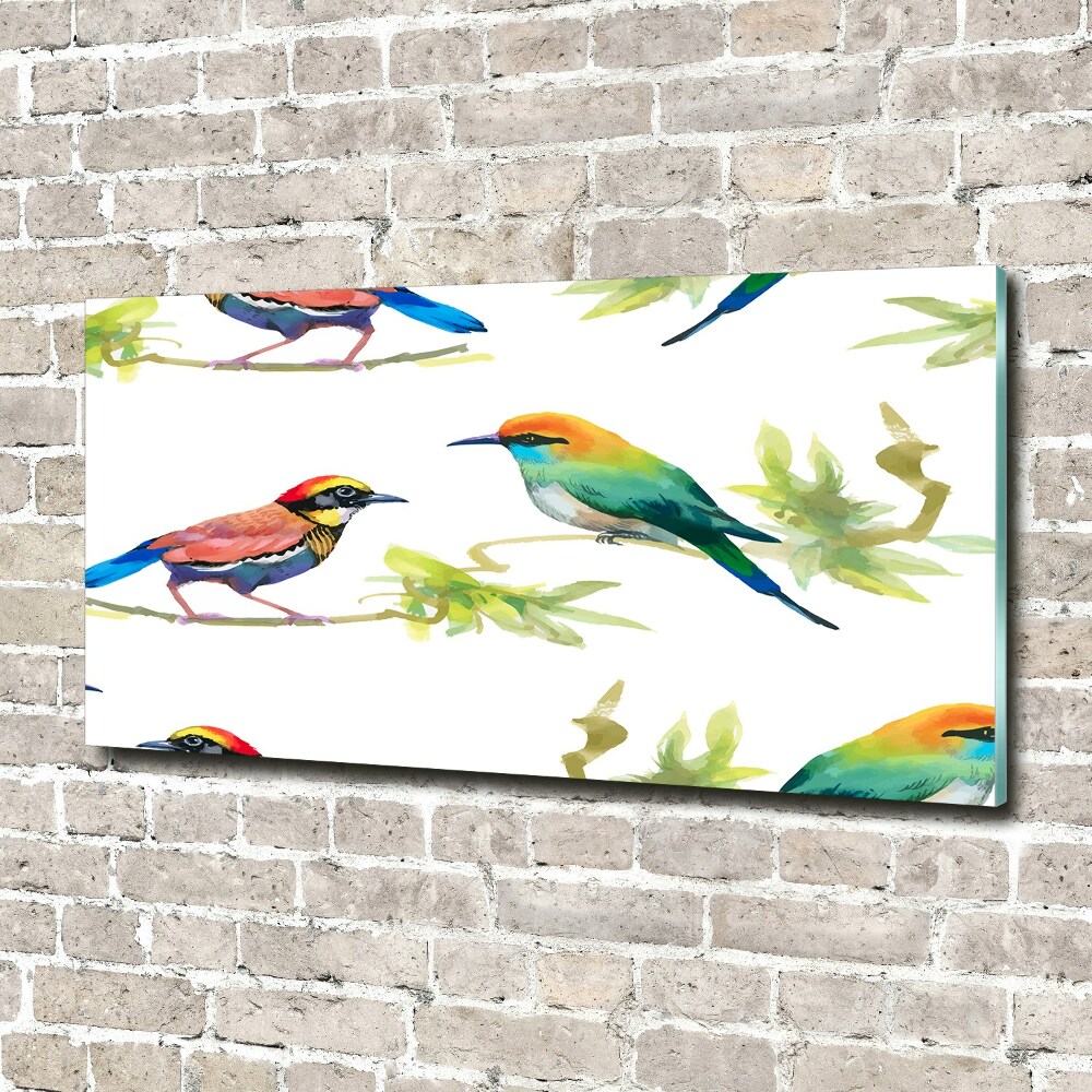 Wall art acrylic Exotic birds