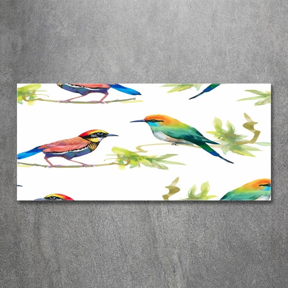 Wall art acrylic Exotic birds