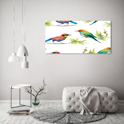 Wall art acrylic Exotic birds