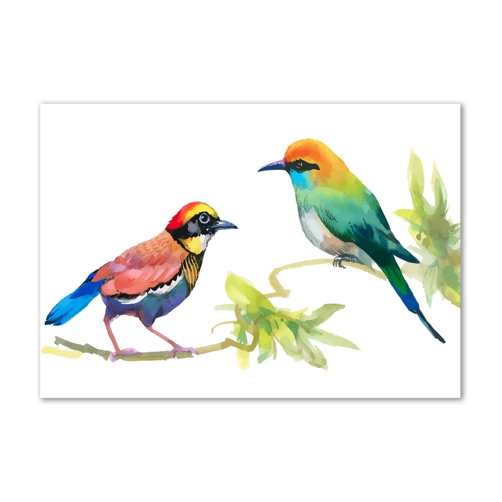 Wall art acrylic Exotic birds