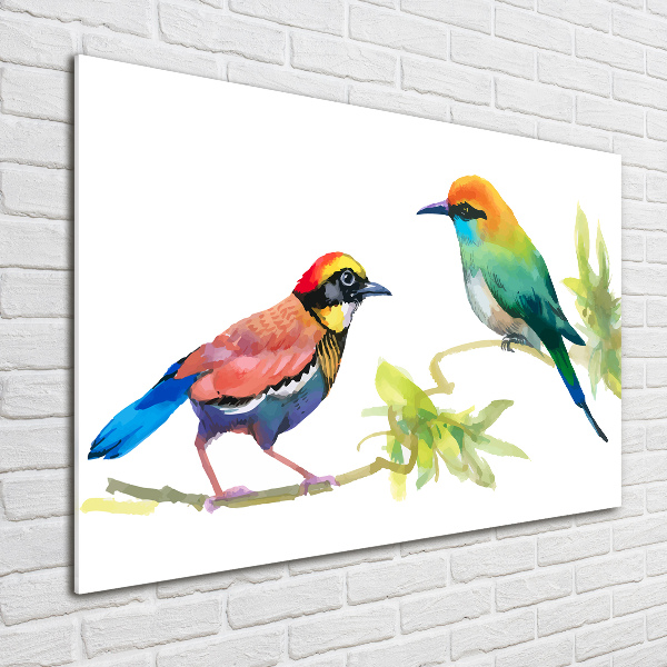 Wall art acrylic Exotic birds