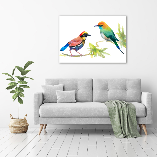 Wall art acrylic Exotic birds