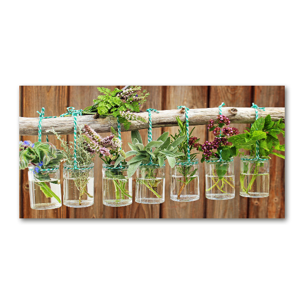 Acrylic wall art Herbs in jars