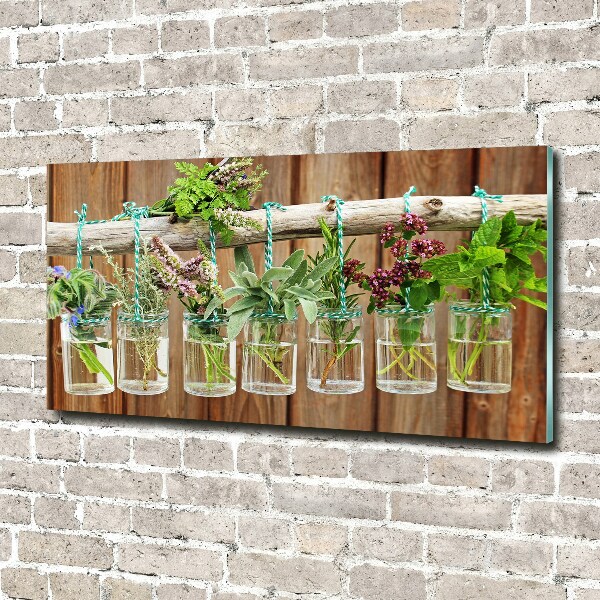 Acrylic wall art Herbs in jars