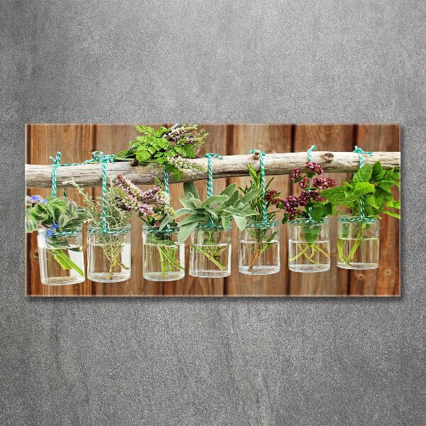 Acrylic wall art Herbs in jars