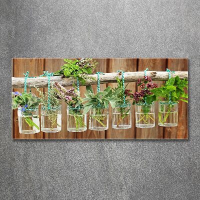 Acrylic wall art Herbs in jars