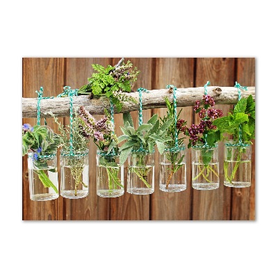 Acrylic wall art Herbs in jars