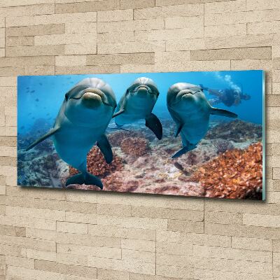 Wall art acrylic Dolphins