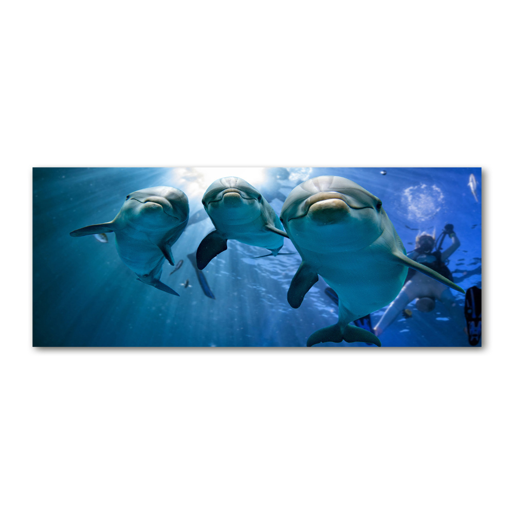 Wall art acrylic Three dolphins