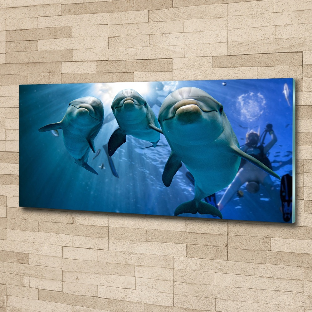 Wall art acrylic Three dolphins