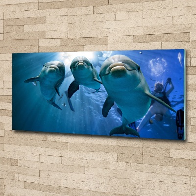 Wall art acrylic Three dolphins