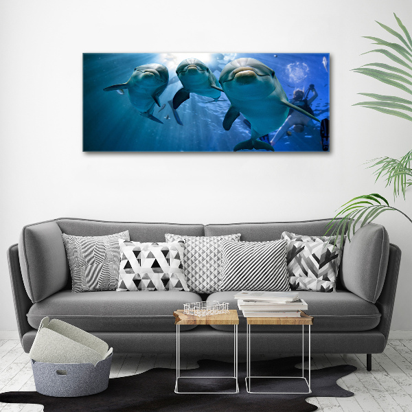 Wall art acrylic Three dolphins